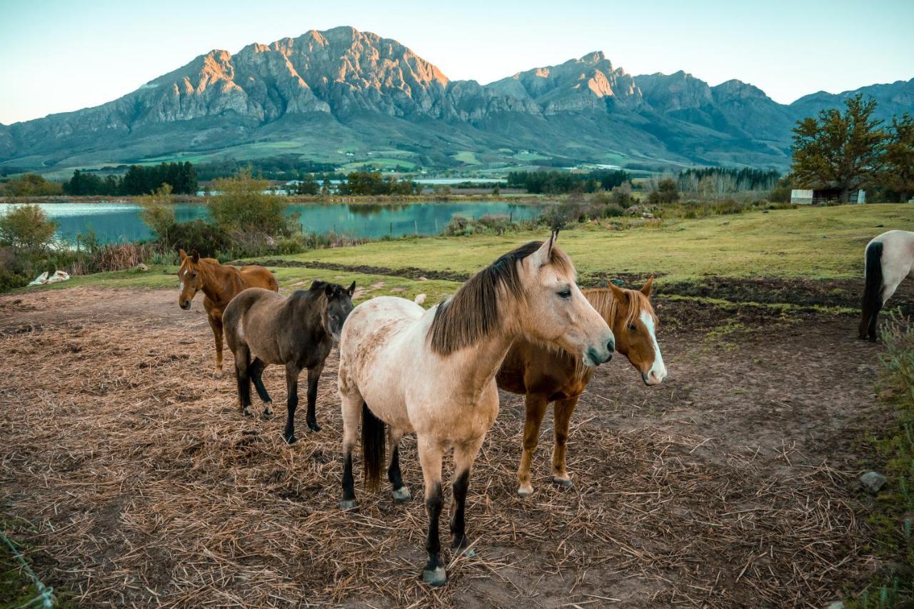 Tulbagh Boutique Heritage Hotel Exterior foto
